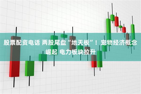 股票配资电话 两股尾盘“地天板”！宠物经济概念崛起 电力板块拉升