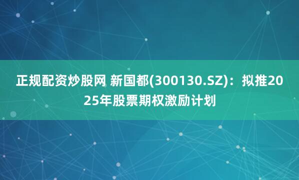正规配资炒股网 新国都(300130.SZ)：拟推2025年股票期权激励计划