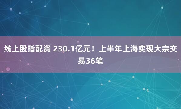 线上股指配资 230.1亿元！上半年上海实现大宗交易36笔