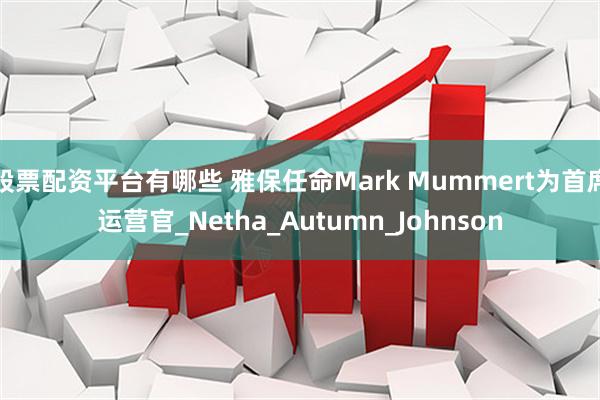 股票配资平台有哪些 雅保任命Mark Mummert为首席运营官_Netha_Autumn_Johnson